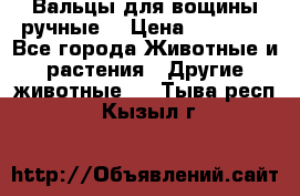 Вальцы для вощины ручные  › Цена ­ 10 000 - Все города Животные и растения » Другие животные   . Тыва респ.,Кызыл г.